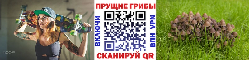Купить закладки  Покров  Галлюциногенные грибы мицелий 